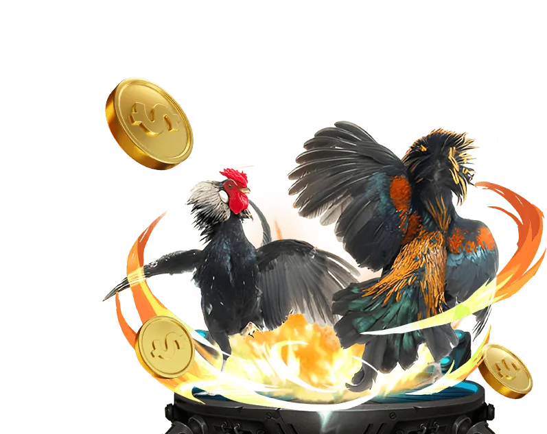 Truy cập trang chủ Ku 68 và tìm nút đăng ký